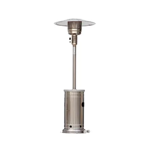 Patio Heater (with propane) 