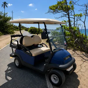 Hourly Golf Cart Rental