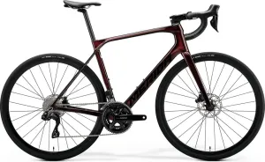 Road Bike - XL (58cm)