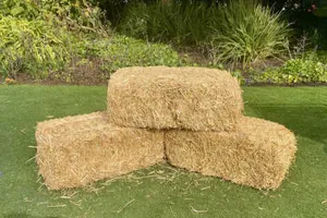 Hay Bales