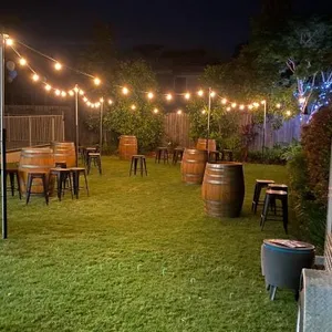 Festoon lights 20m