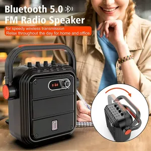 Compact Karaoke PA Machine (w/ 2 Wireless Microphones)