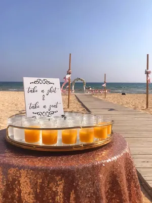 Take a shot tray - 30 shots - schnapps RF2005A