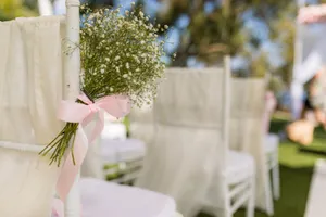 Gypsophila tie with ribbon AE2012 