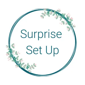 Surprise set up BE1002