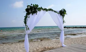 White classic arch with foliage corners CEREMONY & RECEPTION AG2009B 