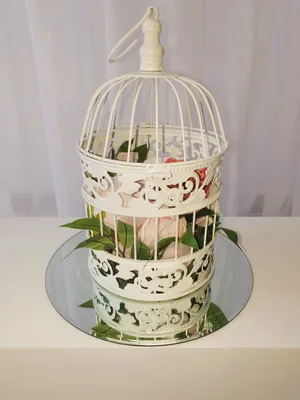 Birdcage filled with flowers on mirror base TP2029