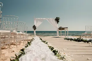 Deluxe foliage and floral runner per 1m CEREMONY ONLY CAR2010 