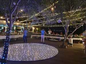 Deluxe demetrion fairy lights