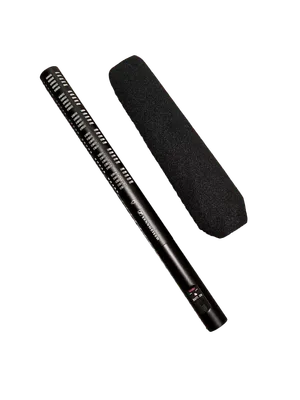 Sennheiser ME66 Shotgun Microphone