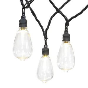 Edison Lights