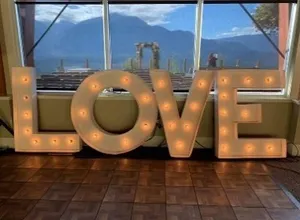 LOVE Light Up Letters