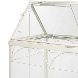 Metal Terrarium