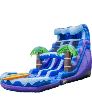 🌊 17FT Tropical Water Slide