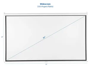 Projector Screen (80 inches)