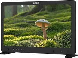 OSEE Mega 22s Monitor 1