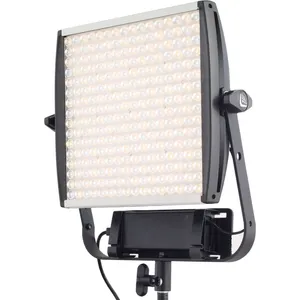 OLED Light Panel