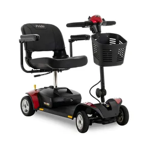 Scooter Gogo