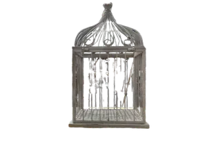 Bird Cage Gray