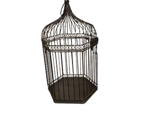 Black Birdcage