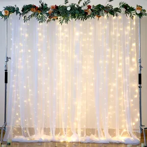 Curtain Lights (10 ft x 10 ft)