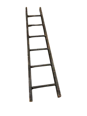 Rustic Straight Ladder 77