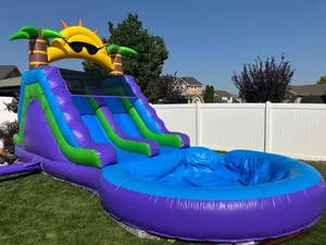 Sunshine Dual Lane Waterslide