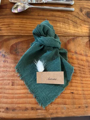 Serviette de table vert sapin