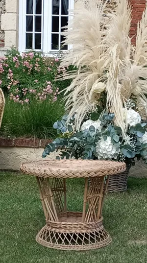 Table rotin basse