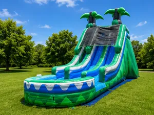 🌴 18' Tropical Thunder Dual Lane Slide