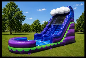 🌊 18' Purple Wave Runner Slide