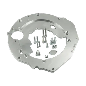 Large plate adapter