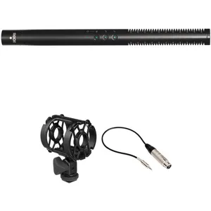 Rode NTG4+ Shotgun Microphone w/boom pole