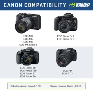 Canon LPE17 Dual Charger 
