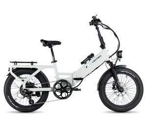 Lectric - Folding Long-Range e-Bike Rental