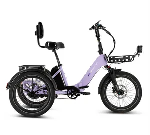 Electric Trike Rental