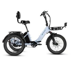 Electric Trike Rental