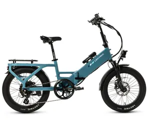 Lectric - Folding Long-Range e-Bike Rental