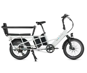 Cargo e-Bike Rental