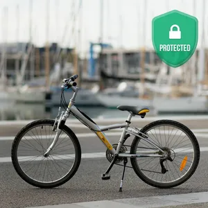 Children's Bike + Insurance