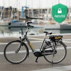 E-Bike + Insurance