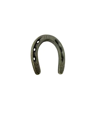Silver Horseshoe