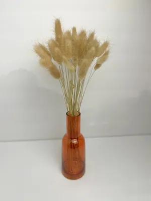 Amber Vase Dried Bunny Tails