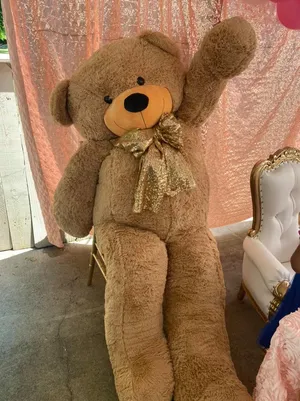 Brown Bear