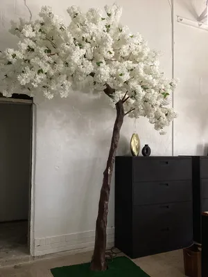 14ft Half Cherry Blossom Tree