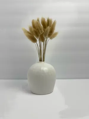 Bunny Tails Florals