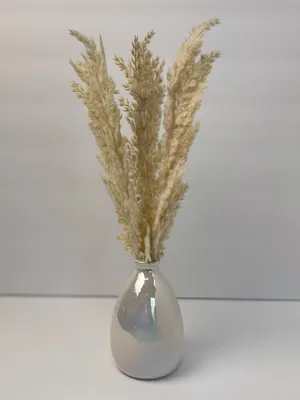 Faux Beige Wheat