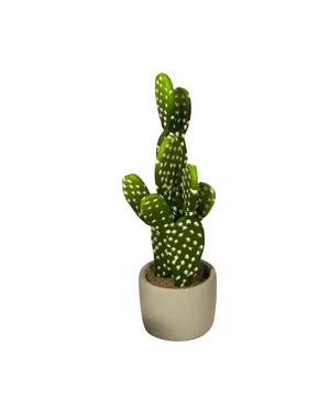 Western Cactus Planter