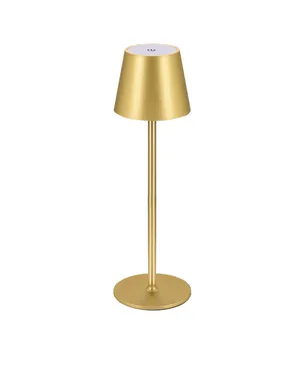 Matte Gold Cordless Table Lamp