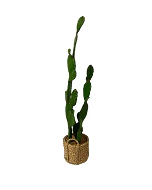 Tall Thin Cactus Planter